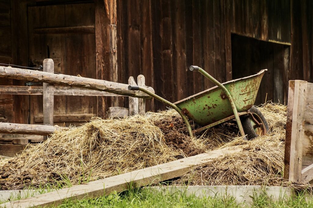 barn, farm yard, dung-4460490.jpg